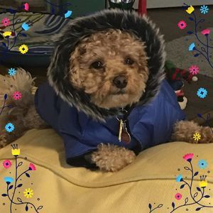 Meet your Posher, Deborah